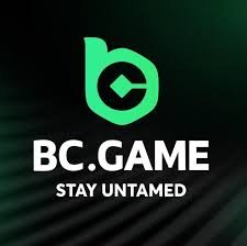 Unlocking Excitement The BC.Game Free Spin Code Guide