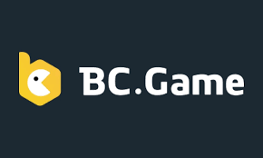 Understanding the BC.Game Login Process A User-Friendly Guide